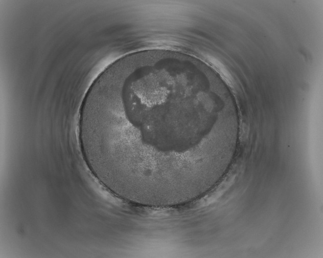 X0000111530899200907141526