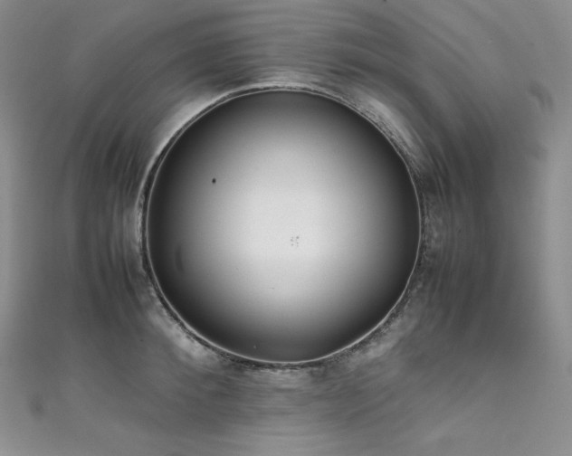 X0000111530900200907141526