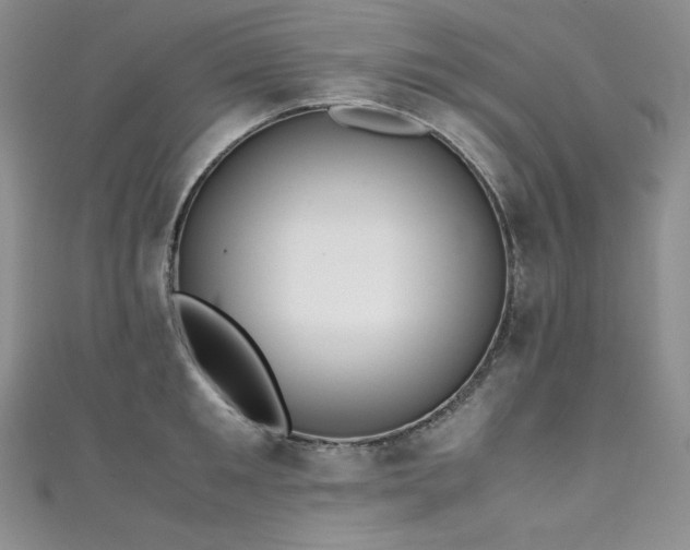 X0000111530901200907141526