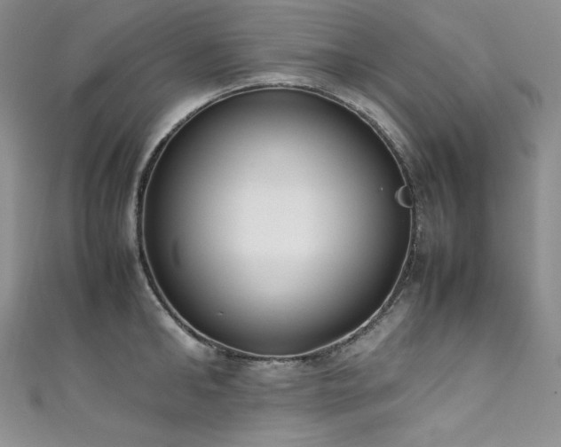 X0000111530902200907141526