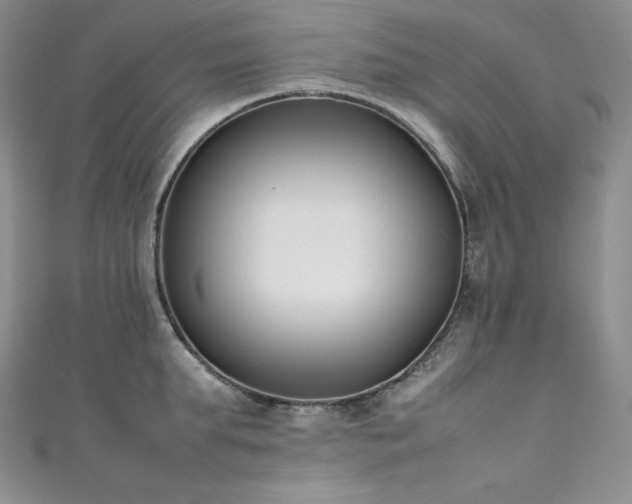 X0000111530903200907141526