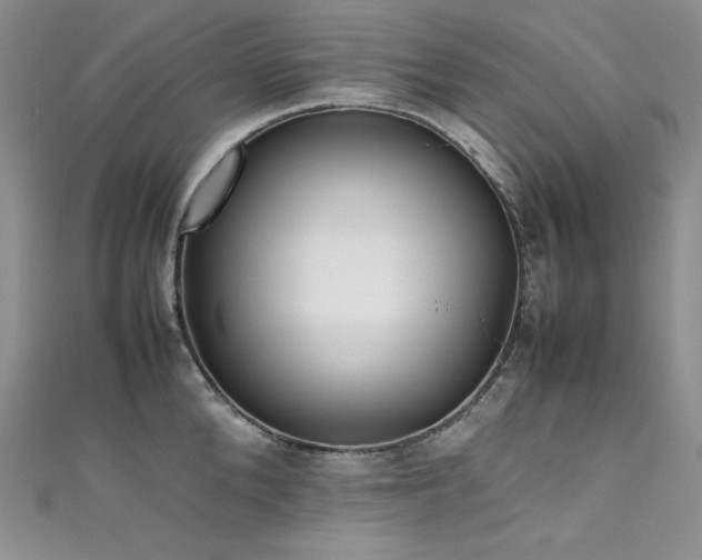 X0000111530904200907141526