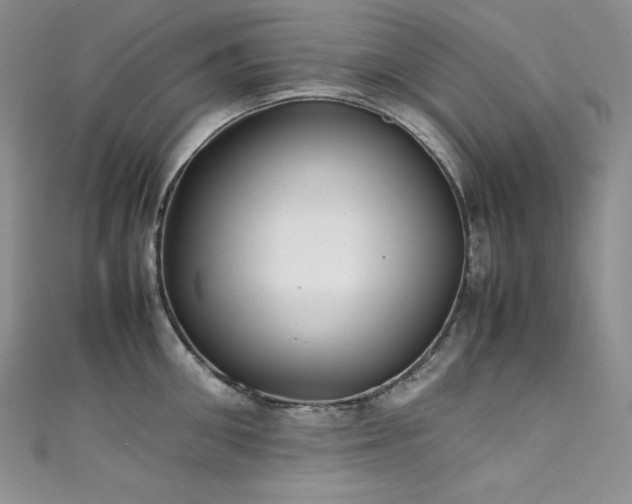 X0000111530906200907141526