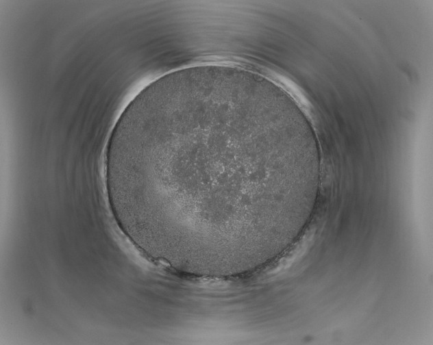 X0000111530907200907141526