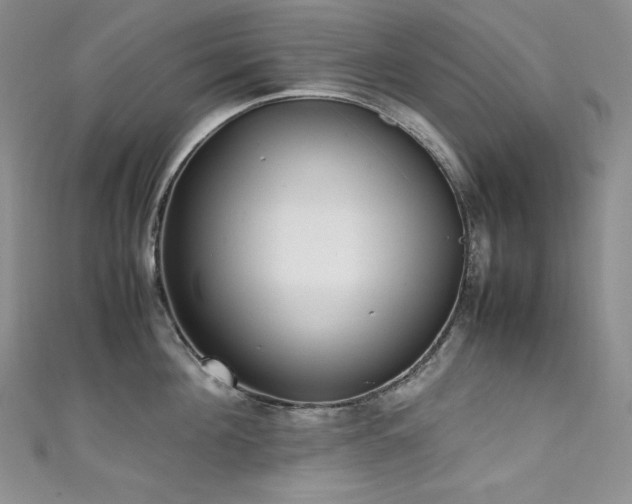 X0000111530908200907141526