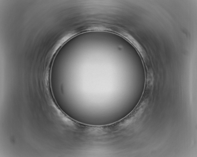 X0000111530909200907141526