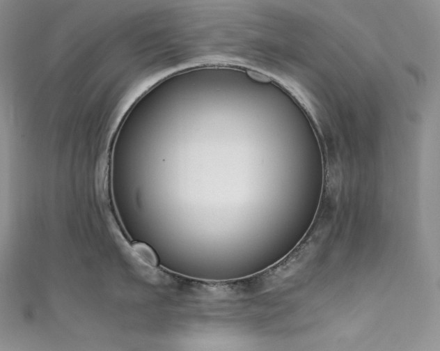 X0000111530911200907141526