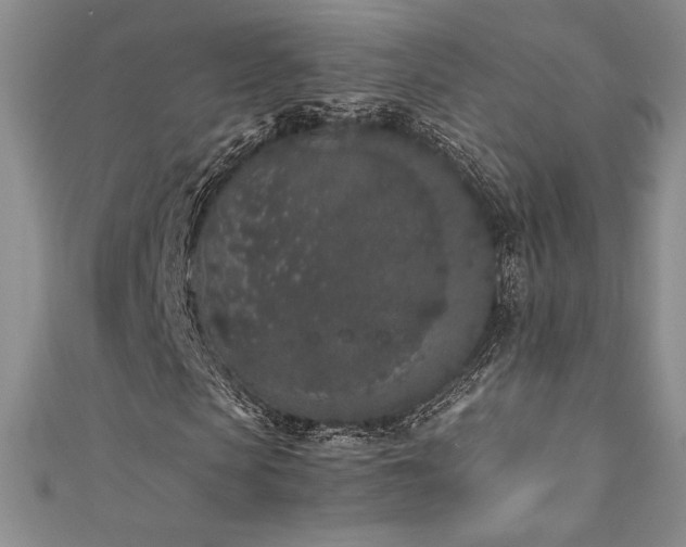 X0000111530913200907141525