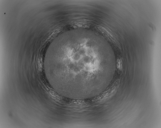 X0000111530915200907141525