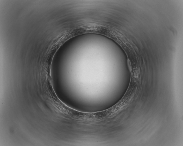 X0000111530916200907141525