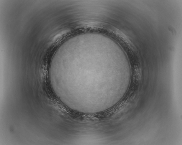 X0000111530918200907141525