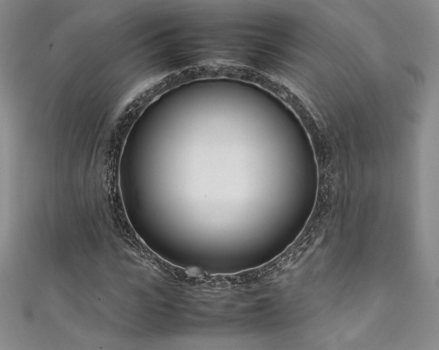 X0000111530919200907141525