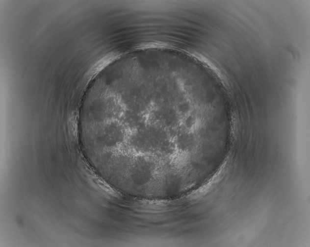 X0000111530921200907141525