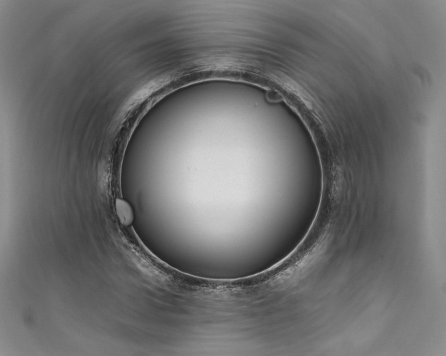 X0000111530922200907141525