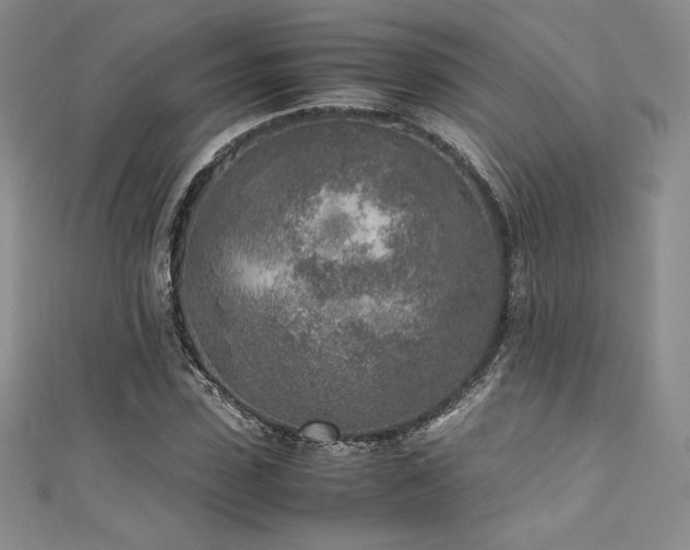 X0000111530923200907141525