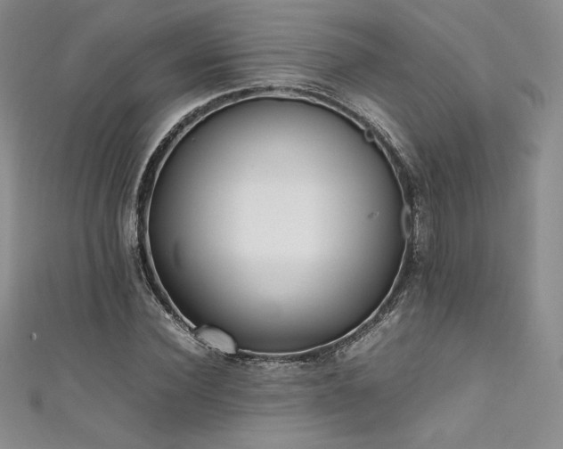 X0000111530924200907141525