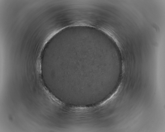 X0000111530925200907141525