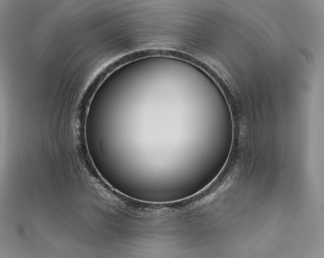 X0000111530926200907141525