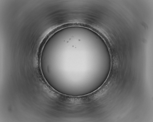 X0000111530927200907141525