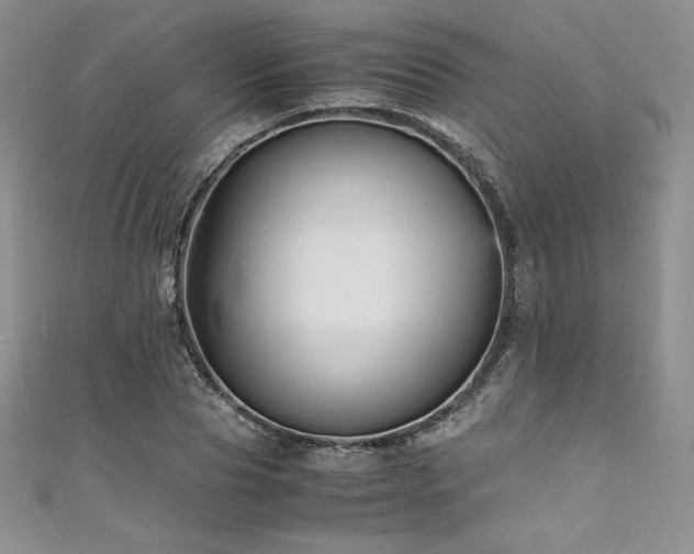 X0000111530929200907141525