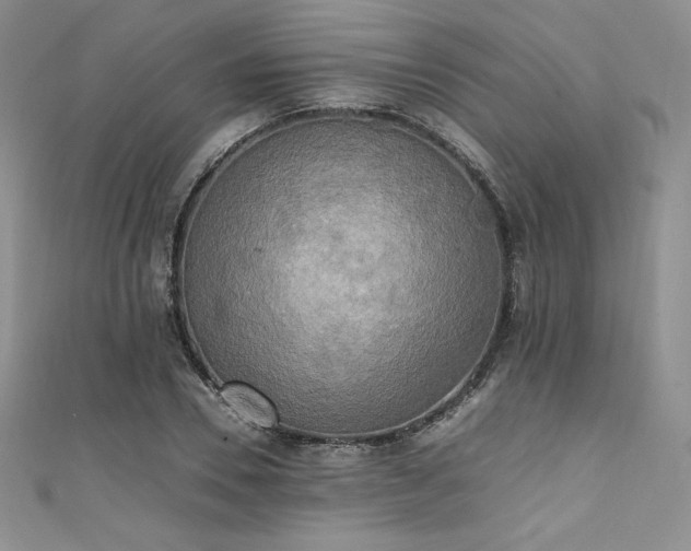 X0000111530930200907141525