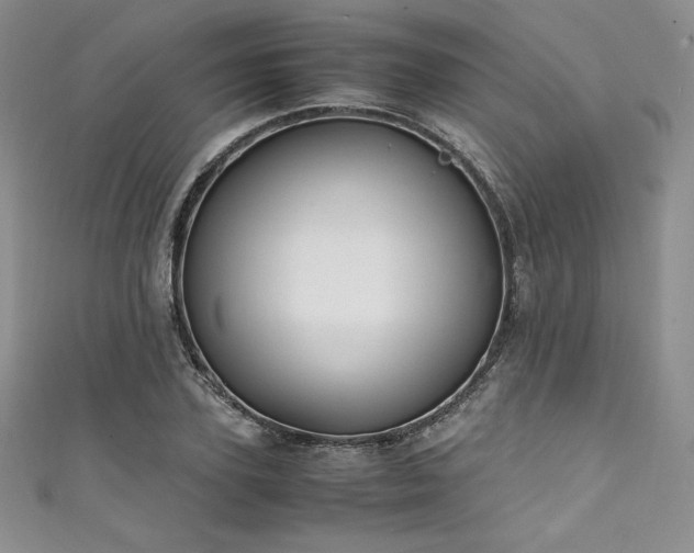 X0000111530931200907141525