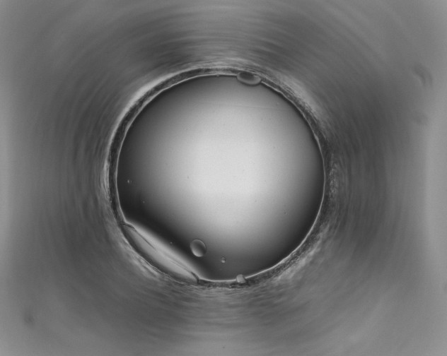 X0000111530932200907141525