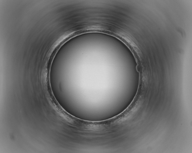 X0000111530933200907141525