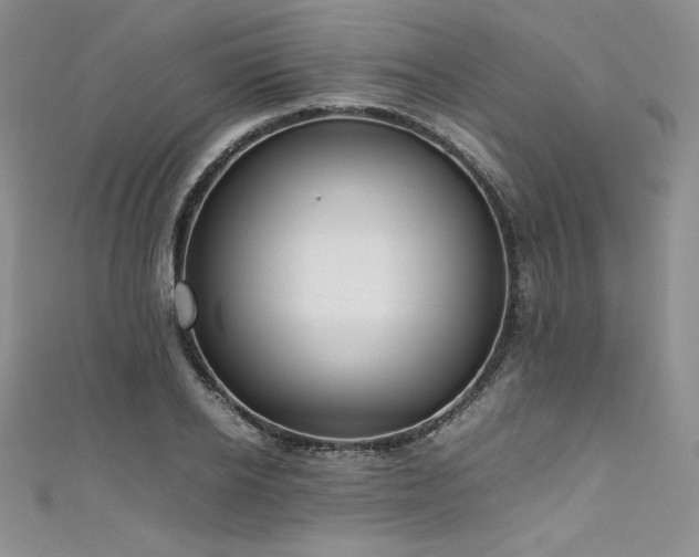 X0000111530934200907141525