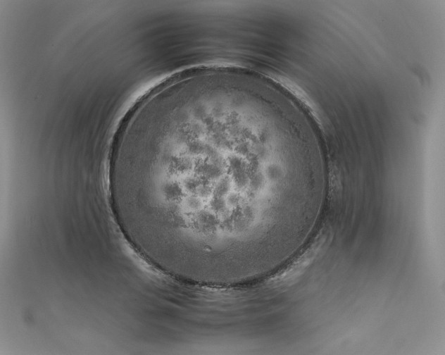 X0000111530935200907141525