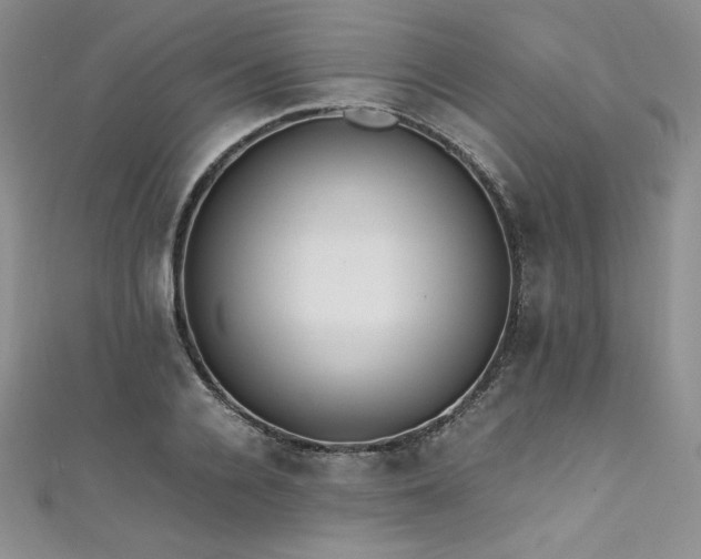 X0000111530936200907141525