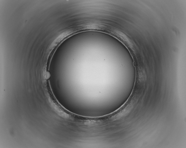 X0000111530938200907141525