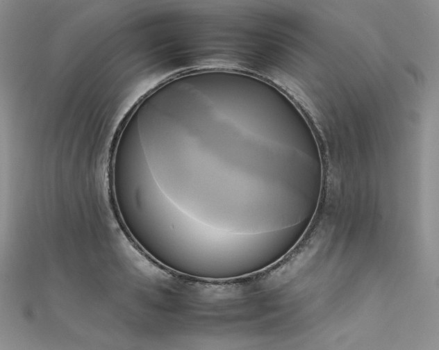 X0000111530941200907141525