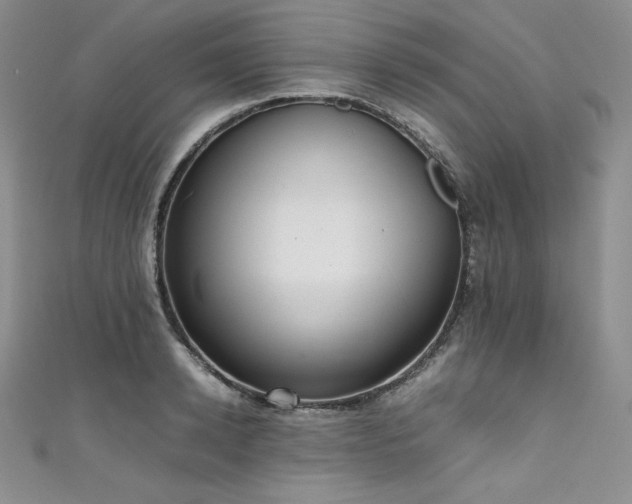 X0000111530942200907141525