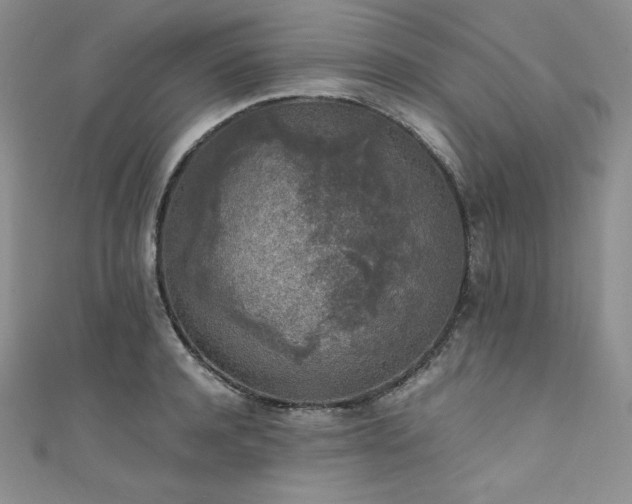 X0000111530944200907141525