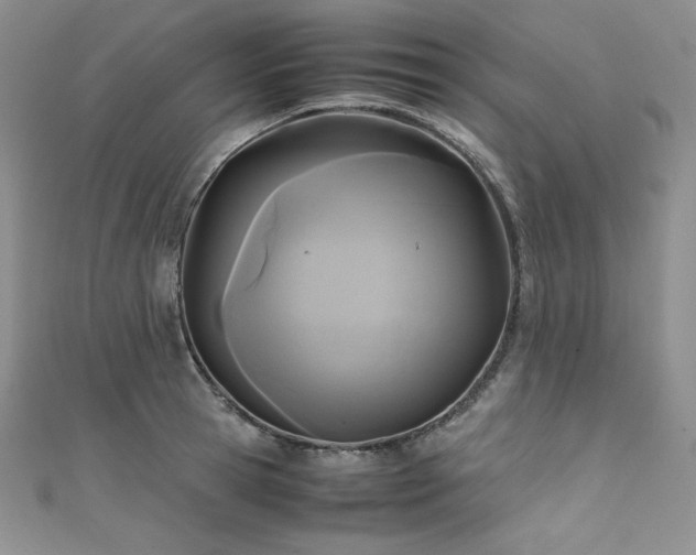 X0000111530945200907141525