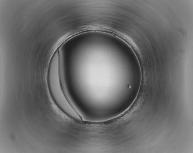 X0000111530946200907141525