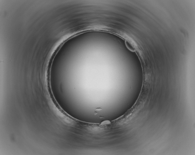 X0000111530947200907141525