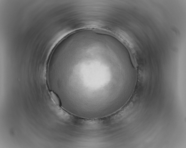 X0000111530948200907141525