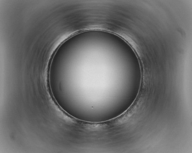 X0000111530949200907141525