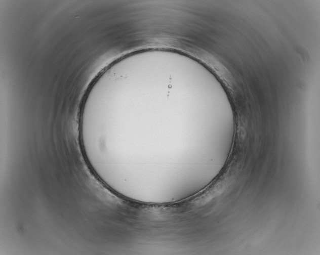 X0000111530950200907141525