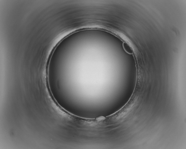 X0000111530951200907141525