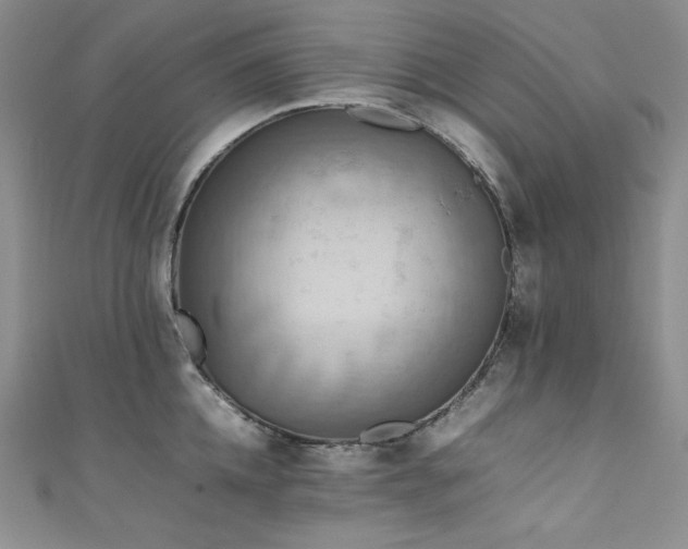 X0000111530952200907141525