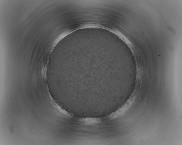 X0000111530953200907141525