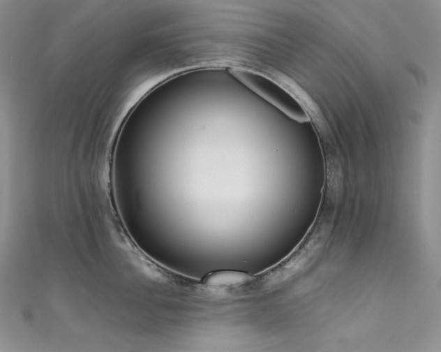 X0000111530956200907141525