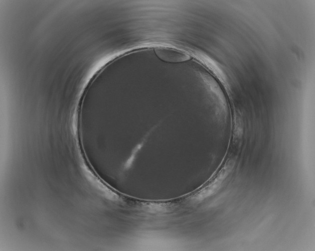 X0000111530958200907141525