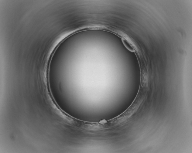 X0000111530959200907141525