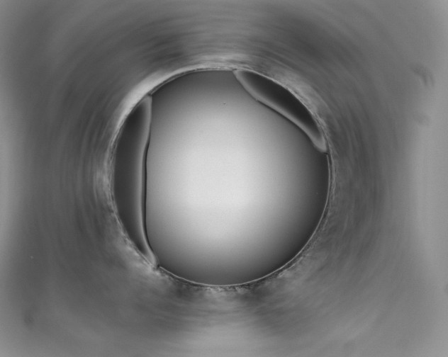 X0000111530960200907141525