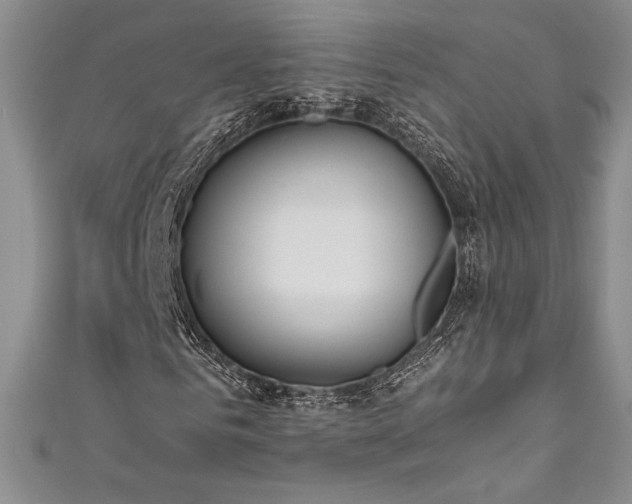 X0000111530961200907141525