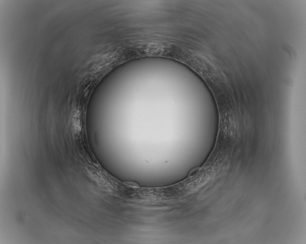 X0000111530962200907141525